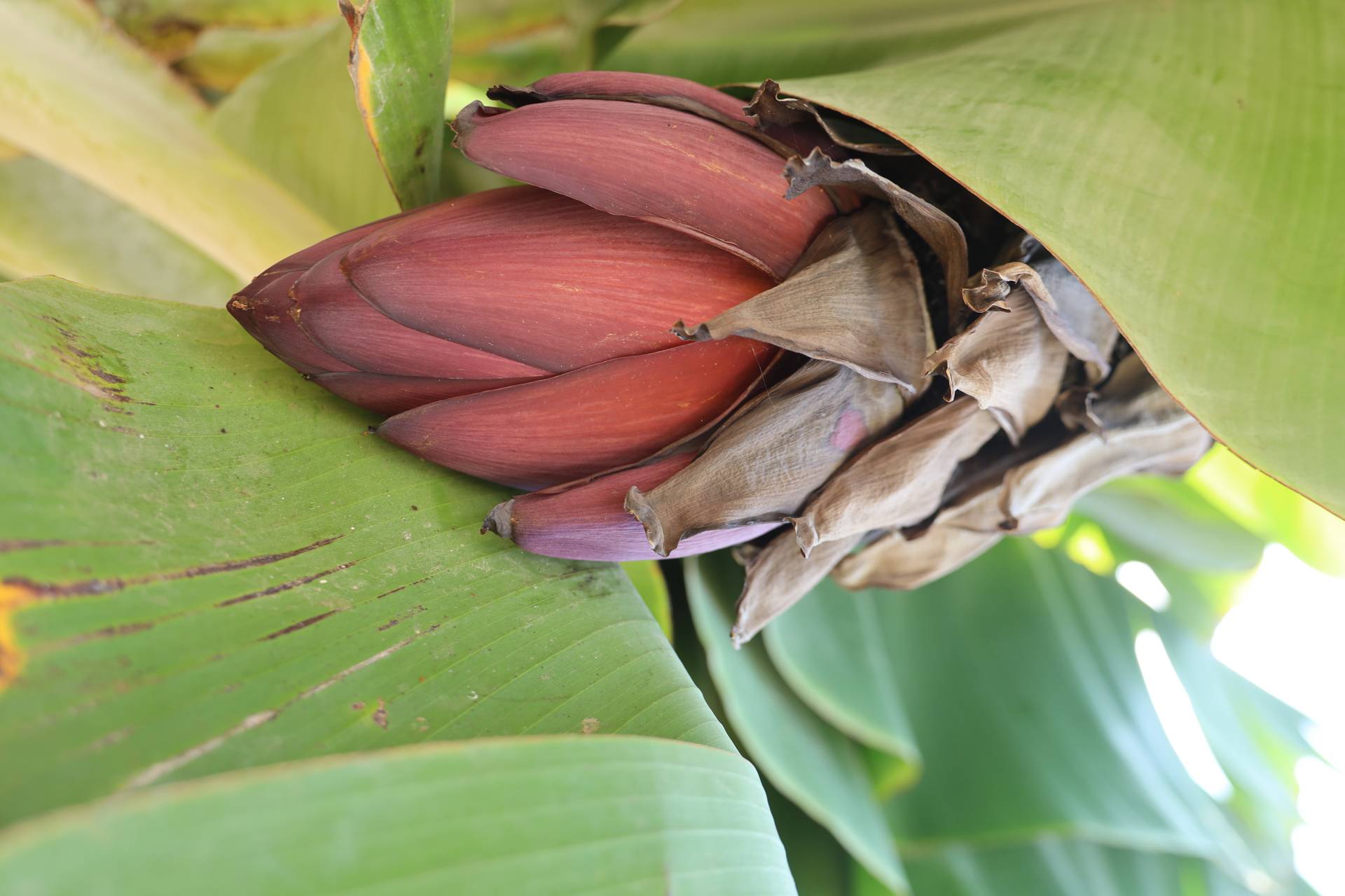 תמונה 1 מקיבוץ מעגן מיכאל