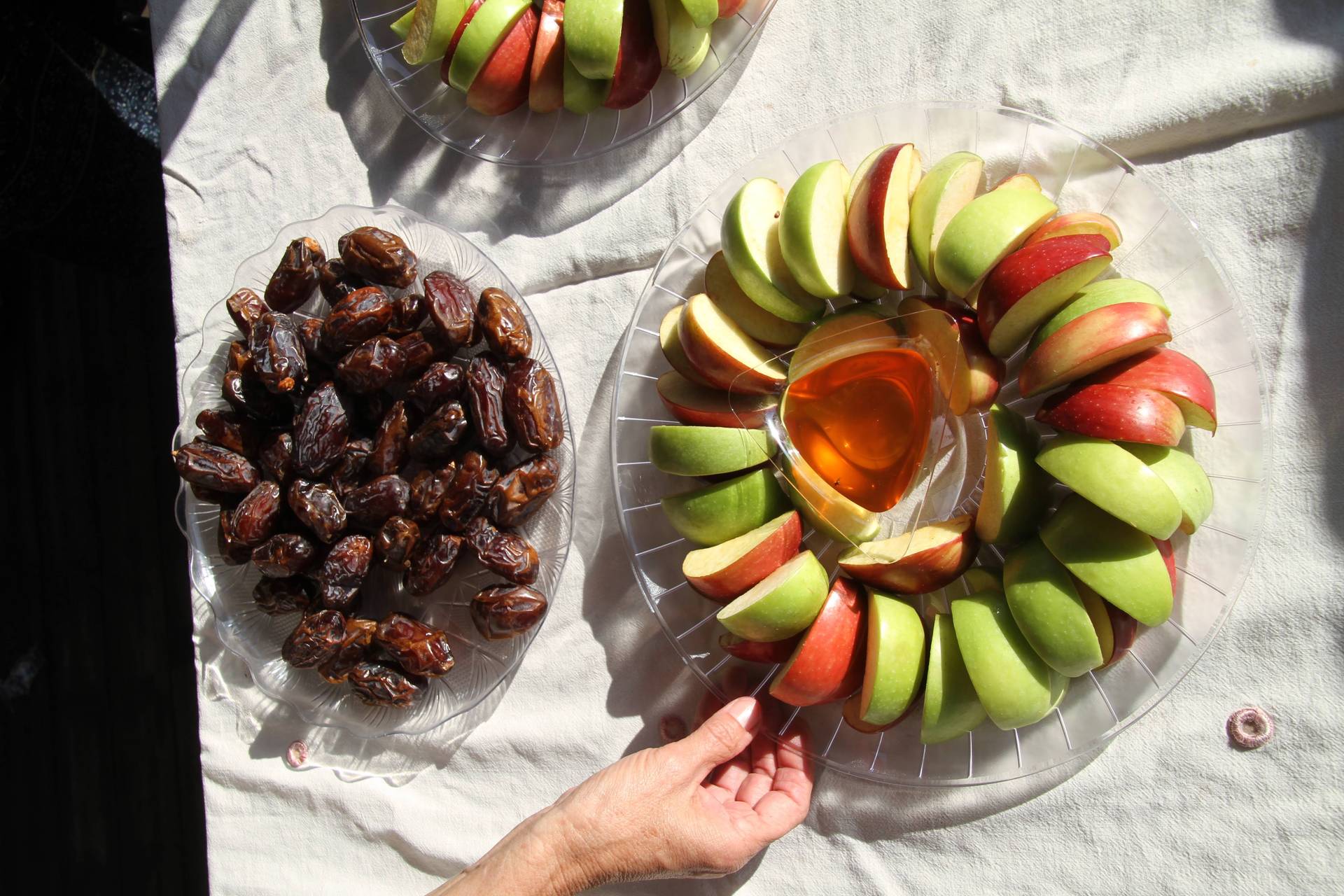 תמונה 8 מקיבוץ מעגן מיכאל